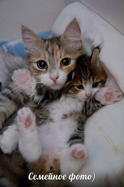 Дарья Суровцева