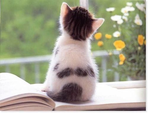 Наталия Шевелёва