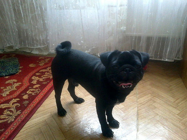 Ирина Савина