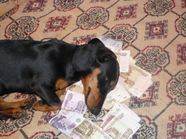 Александр Чернышев