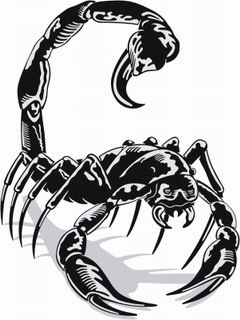 Татьяна Майорова