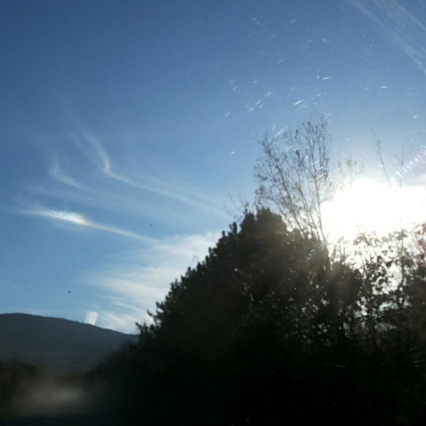 Юлия Юрьевна