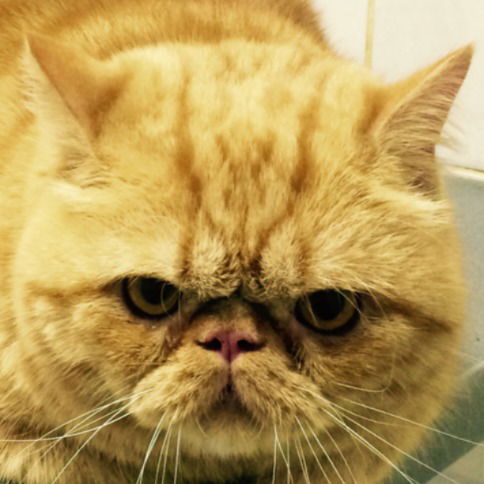 Павел Павел