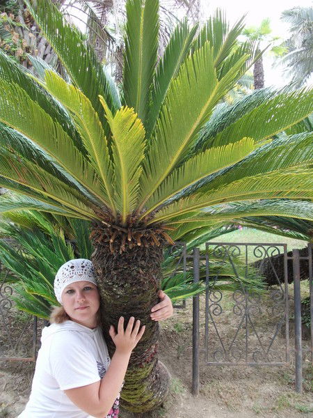 Анютка Анютка