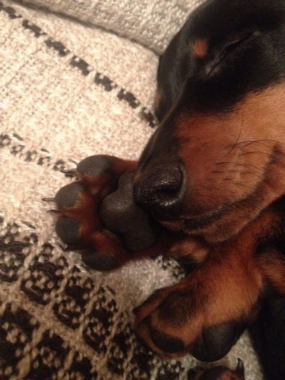 Никита Корзун