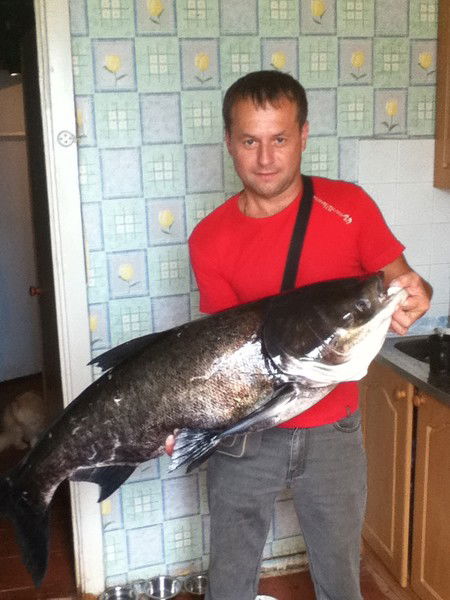 Юрий Мартынов