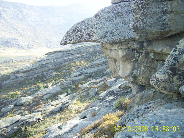 Жежер Владимир