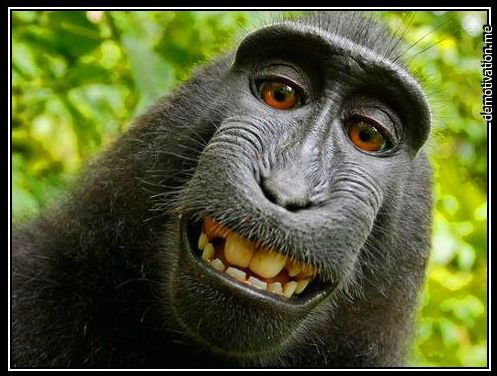 Boва Гаврилов