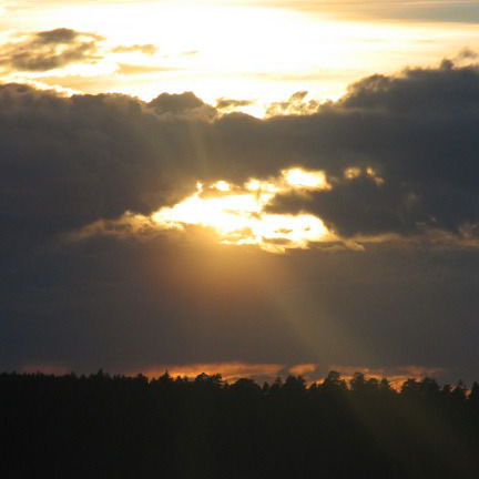 Елена Ковальская