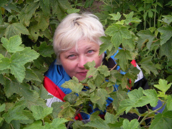 Верещагина Елена