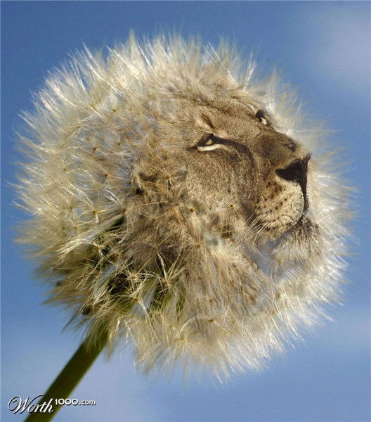 Павел Серенко