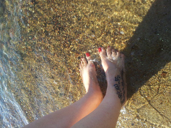 Аня Шварц - Корецкая