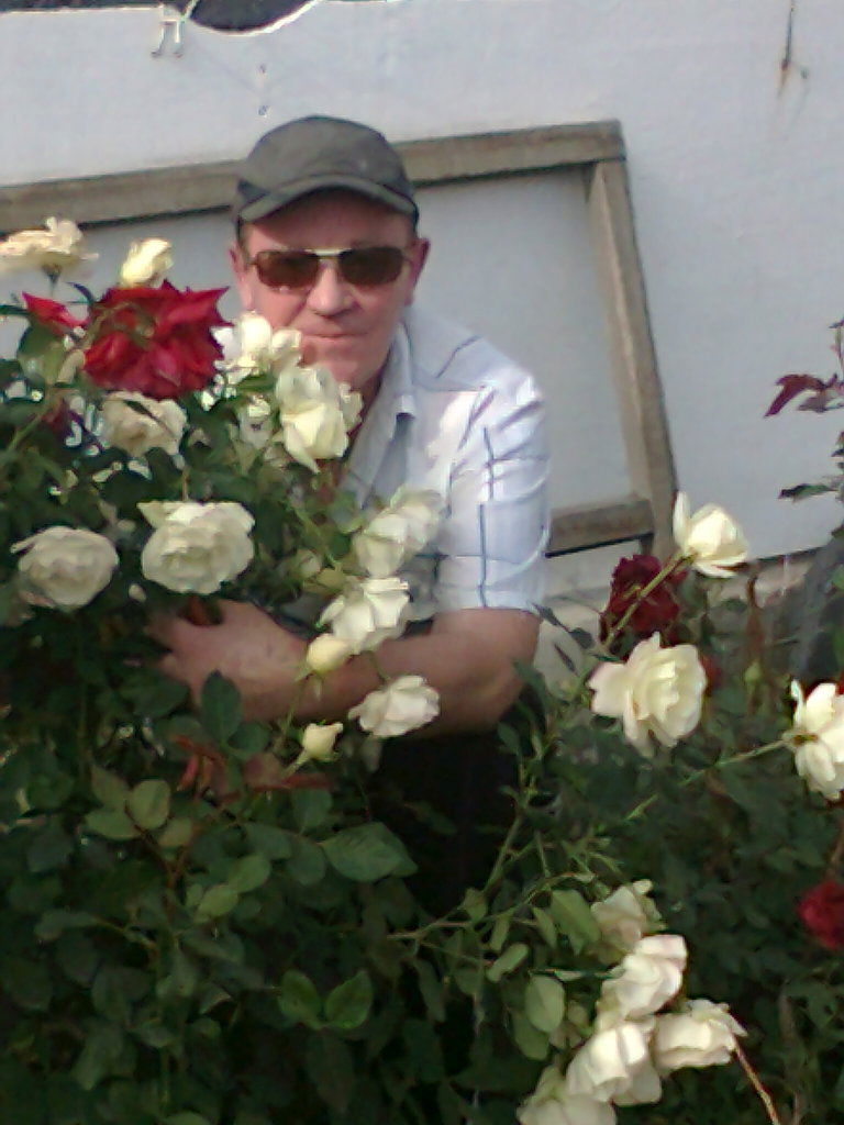 Aнатолий Гиллерт