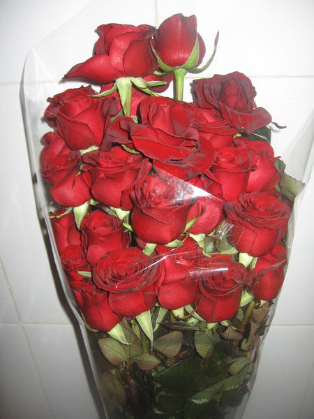 Света Нестеренко