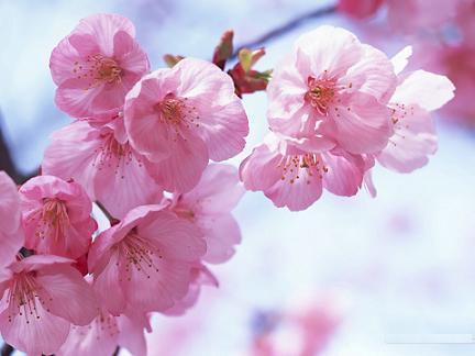 Карлыгаш Аскарова