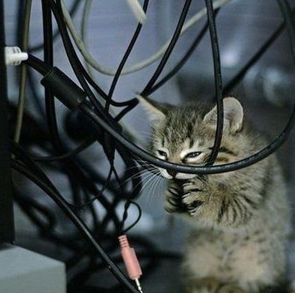 Анатолий Домрачев