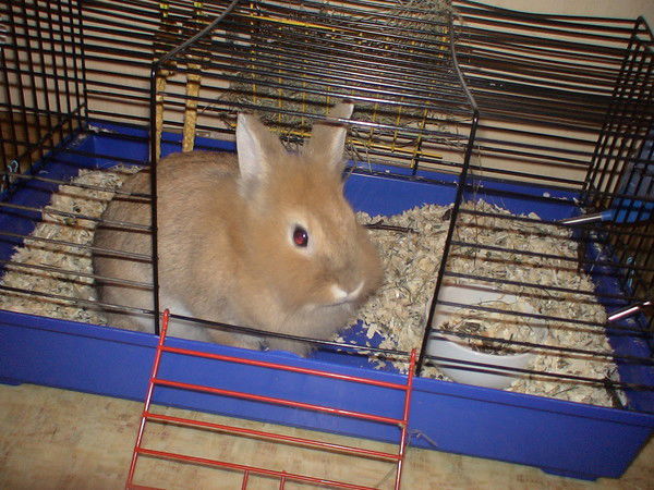 Артем Ермолаев