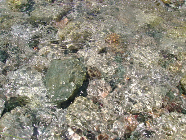 Андрей Асенгемир