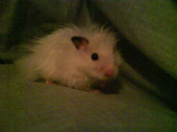 Наталья Кулагина