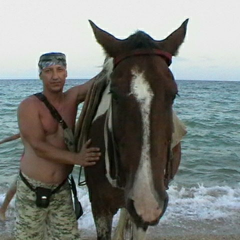 Александр Кравцов