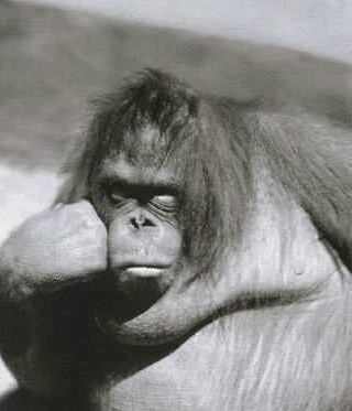 Валерий Винокуров