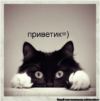 Юлия Егорва