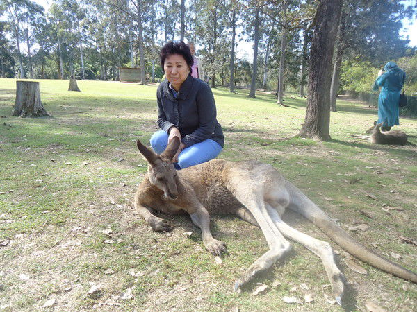 Галия Жармухамбетова