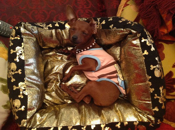 Саясат И Евгения Калиевы-Юн