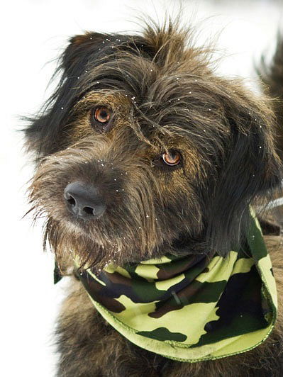 Неизвестно Неизвестно