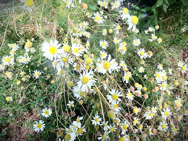 Наталья Митрошкина