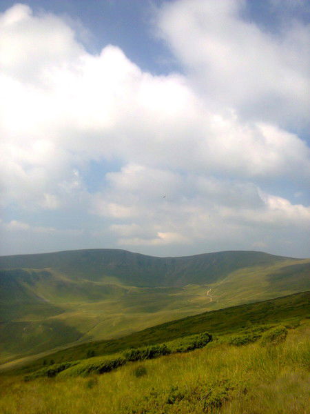 Петро Цубера