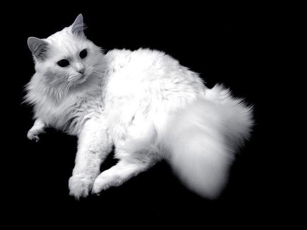 Светлана Селезнева