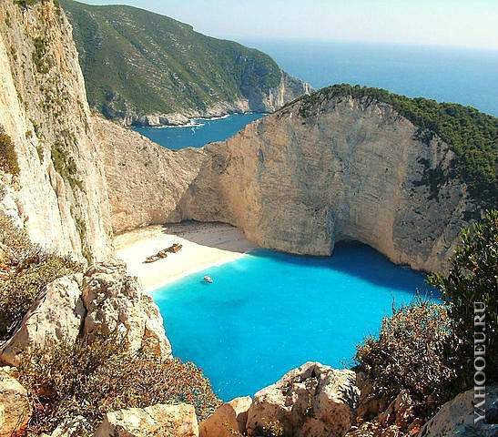 Дмитрий Регер