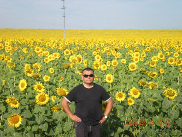 Андрей Мицкевич