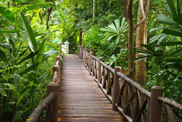 Алексей Боталов