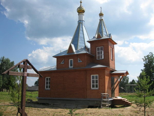 Елена Шарыкина