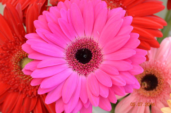 Сауле Кургамбаева