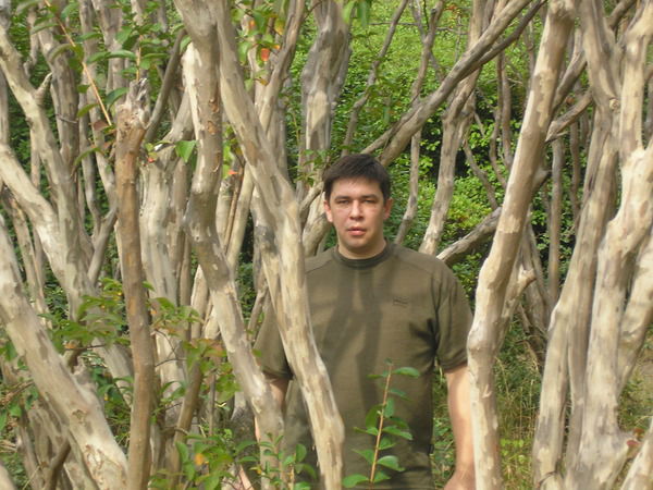 Роман Поланский