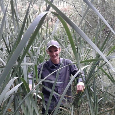 Макс Леденев