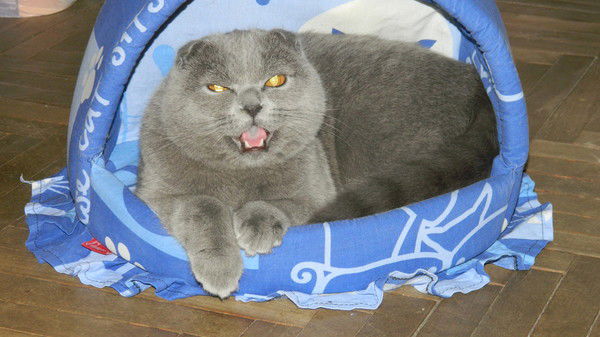 Александр Кузьмин