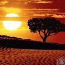 Света Ведягина