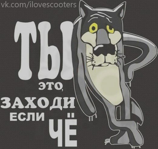 Руслан Мамедов