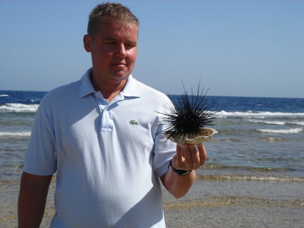 Рафик Лукманов