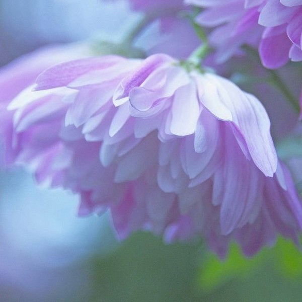 Ирина Цуканова