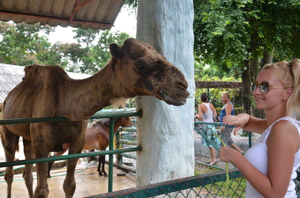 Александра Барынкина