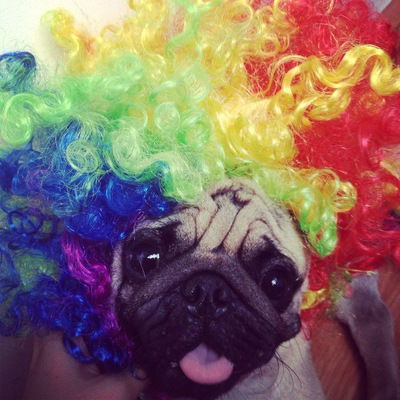 Жека Шепляков