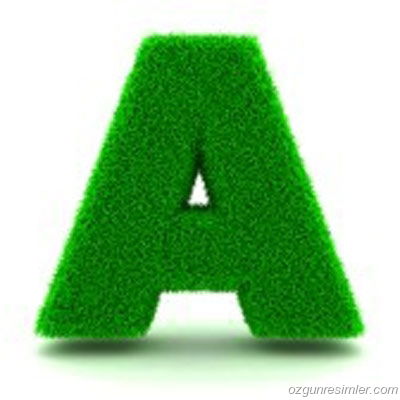 Александр Кучев