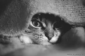 Маргарита Устьянцева