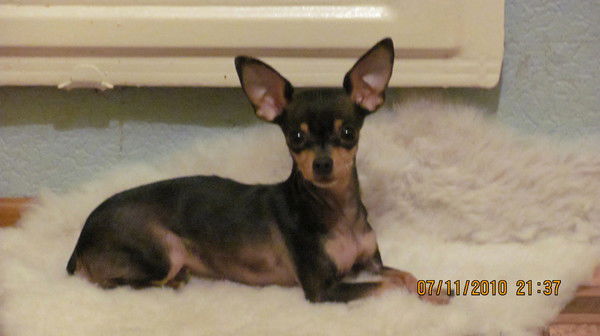 Коля Нина Сокирка