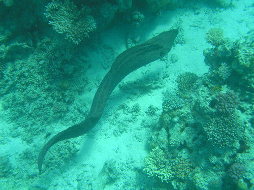 Ирина Юрьевна